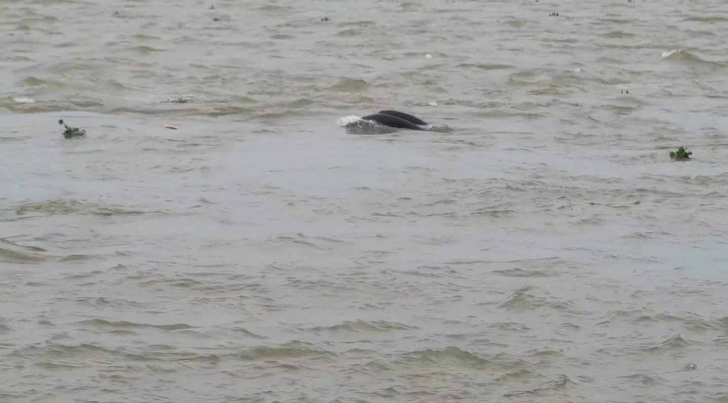 1605850742650683.jpg 未標(biāo)題-1.jpg