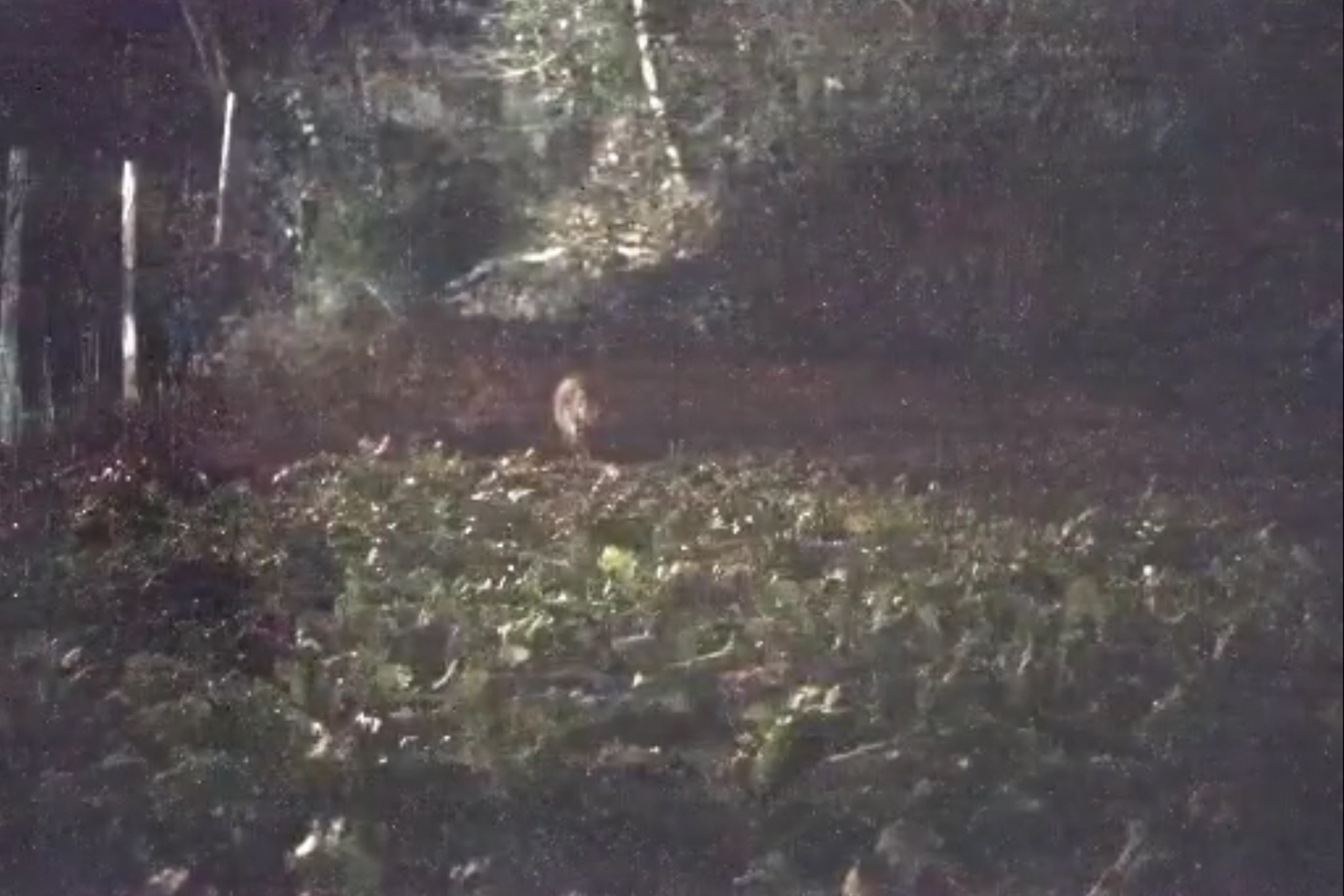 1609408129815021.jpg 5fca0171e13c7.jpg