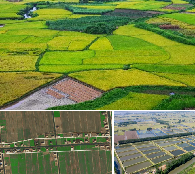 1652864879108714.png 微信截圖_20220518170620.png