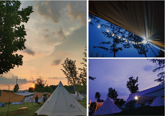 1655095981346727.png 11-03.png